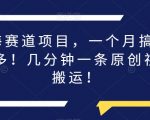 蓝海赛道项目，一个月搞了1万多！几分钟一条原创视频搬运！