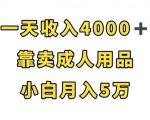 一天收入4000+，靠卖成人用品，小白轻松月入5万【揭秘】