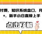 知识付费，知识系统盘口，月入1W+，新手小白直接上手