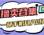 0撸项目月入过万，售卖全套AI工具合集，一单29.9元，一部手机即可【揭秘】