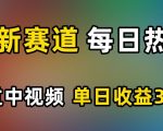 AI新赛道，每日热点，秒过中视频，单日收益300+【揭秘】