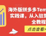 海外版拼多多TEMU从零到一实践课，从入驻到运营的最全教程