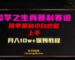 国学之暴利生肖带货小白也能做月入10万+保姆教程【揭秘】