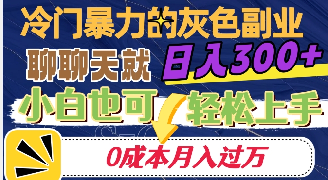 冷门暴利的副业项目，聊聊天就能日入300+，0成本月入过万【揭秘】