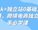 TIKTOK+独立站0基础入门到精通，跨境电商独立站新手必学课