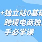 TIKTOK+独立站0基础入门到精通，跨境电商独立站新手必学课