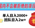 在国内不怕被拒绝的项目，单人日入2000，团队日入20000+【揭秘】