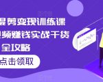 短视频混剪变现训练课程，短视频赚钱实战干货全攻略