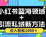 小红书蓝海虚拟＋引流私域新方法，100%不限流，日入轻松1000＋，小白无脑操作【揭秘】