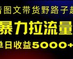 抖音图文带货暴力起号，单日收益5000+，野路子玩法，简单易上手，一部手机即可【揭秘】