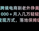 靠跨境电商割老外挣美刀，日入1000＋月入几万轻轻松松！多种变现方式，落地保姆级教程【揭秘】