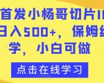 全网首发小杨哥切片IP3.0，日入500+，保姆级教学，小白可做【揭秘】