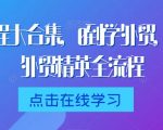 外贸课程大合集，0到1学外贸，新手到外贸精英全流程