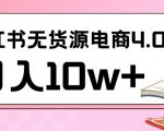 小红书新电商实战，无货源实操从0到1月入10W+联合抖音放大收益【揭秘】