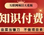 2024互联网项目天花板，新手小白也可以通过知识付费月入10W，实现财富自由【揭秘】