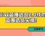 拼多多培训第33期：小众蓝海选品2.0技术-蓝海选品实操！