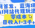 全网首发，蓝海项目，AI网站代理玩法，零成本日收入1-3千+【揭秘】