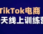 TIKTOK电商带货30天线上课，不可错过的全球流量洼地！