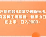 反方向的蛙3.0图文最新玩法，隐身各种主流项目，新手小白轻松上手，日入2000+【揭秘】