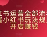 小红书运营全部流程，掌握小红书玩法规则，开店赚钱