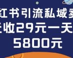 在小红书引流私域卖壁纸每张29元单日最高卖出200张(0-1搭建教程)【揭秘】