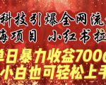 蓝海项目!黑科技引爆全网流量小红书拉新，单日暴力收益7000+，小白也能轻松上手【揭秘】