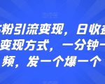 最新S粉引流变现，日收益300+多种变现方式，一分钟一个视频，发一个爆一个【揭秘】