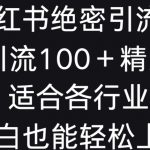 小红书绝密引流术，一天引流100+精准流量，适合各个行业，小白也能轻松上手【揭秘】