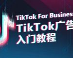 TIKTOK广告入门教程，从0到1掌握TIKTOK投放的全流程