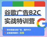 谷歌广告B2C实战特训营，500+谷歌账户总结经验，实战演示如何从0-1搭建广告账户