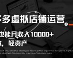 拼多多虚拟店铺运营小白也能月收入10000+【揭秘】