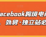 脸书FACEBOOK跨境电商入门课，外贸·独立站必修