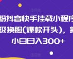 0粉抖音快手挂载小程序，超级换脸(爆款开头)，新手小白日入300+【揭秘】