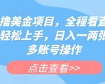 海外撸美金项目，全程看直播，小白轻松上手，日入一两张，可多账号操作【揭秘】