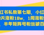 小红书私教第七期，小红书90天涨粉18W，1周涨粉破万，半年矩阵号粉丝破百万