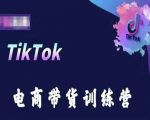 TIKTOK电商带货训练营，跟随时代潮流，跨境掘金