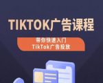 TIKTOK广告投放课程，从0-1实操课，带你快速入门TIKTOK广告投放