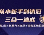 从小新手到销冠 三合一速成：销售3法+非暴力关单法+销售系统挖需课 (27节)