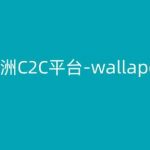 欧洲C2C平台-WALLAPOP-KIM跨境电商教程