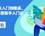 LAZADA从入门到精通，跨境东南亚新手入门必修课