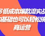 拼多多低成本爆款流实战私教课，0基础也可以轻松搞定电商运营