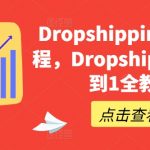 DROPSHIPPING基础课程，DROPSHIPPING从0到1全教程