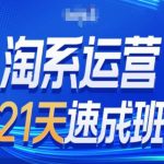 淘系运营24天速成班第28期最新万相台无界带免费流量