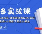 拼多多实战课：万人团玩法/截流自然流/最新强付费打法/最新原价卡大促..