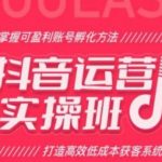 抖音运营实操班，掌握可盈利账号孵化方法，打造高效低成本获客系统