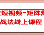 企业短视频-矩阵爆客战法线上课程