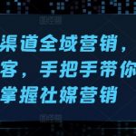 海外多渠道全域营销，高效引流获客，手把手带你快速掌握社媒营销