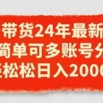 视频号带货24年最新模式，操作简单可多账号分发，轻轻松松日入2K【揭秘】