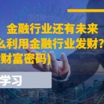 某付费文章：金融行业还有未来吗?普通人怎么利用金融行业发财?(附财富密码)