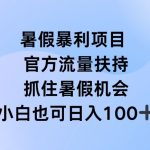 暑假暴利直播项目，官方流量扶持，把握暑假机会【揭秘】